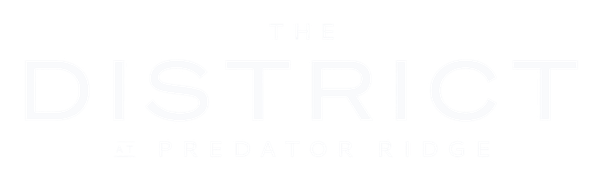 Untitled design